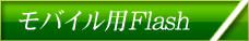 ���o�C���pFlash