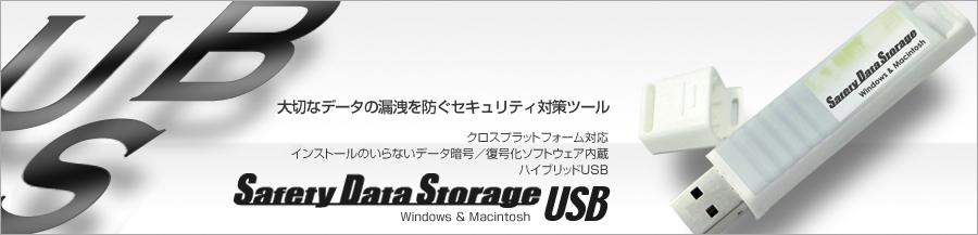 Sefety Data Storage USB